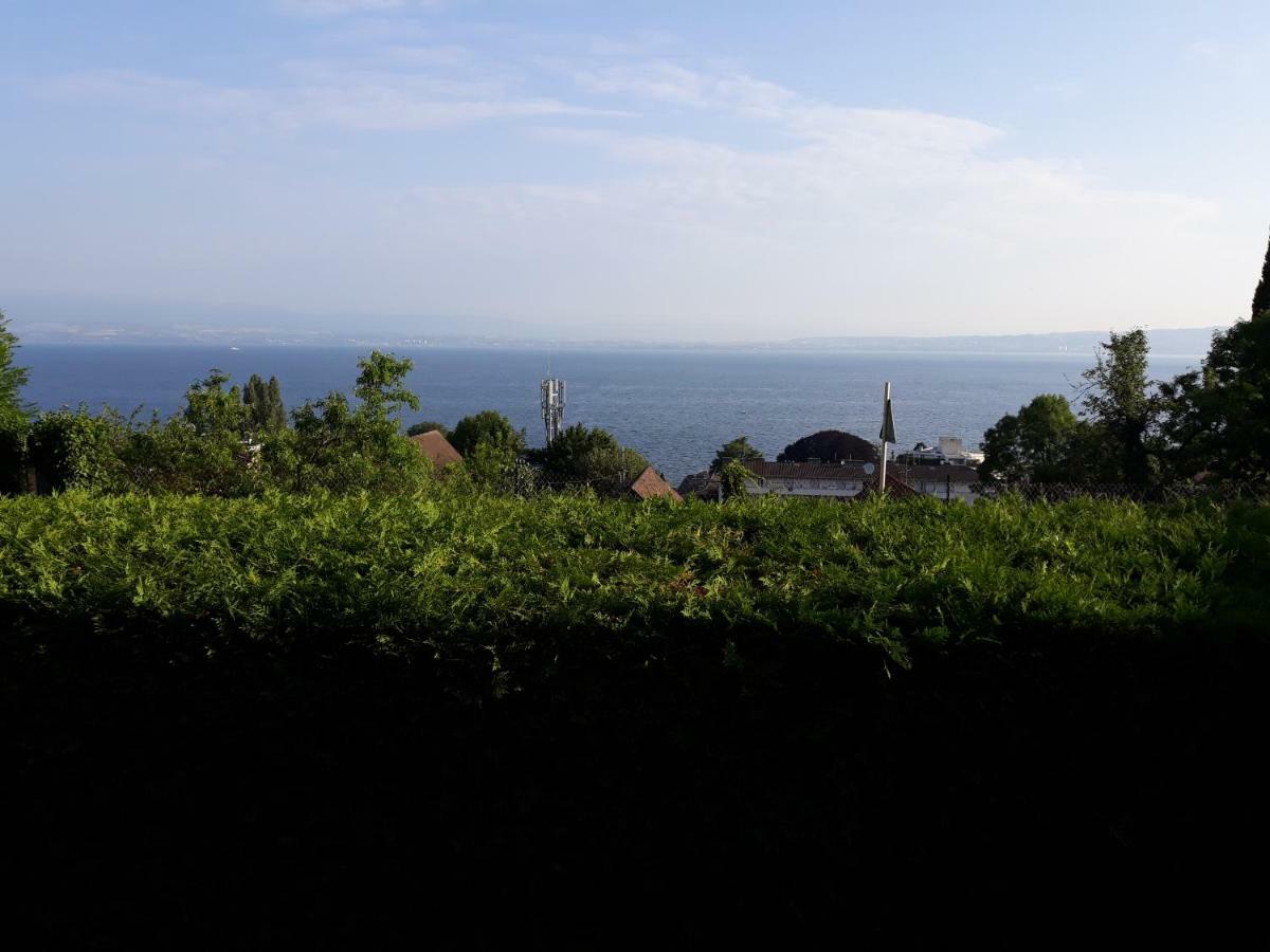 L'Oasis Hotel Évian-les-Bains Buitenkant foto
